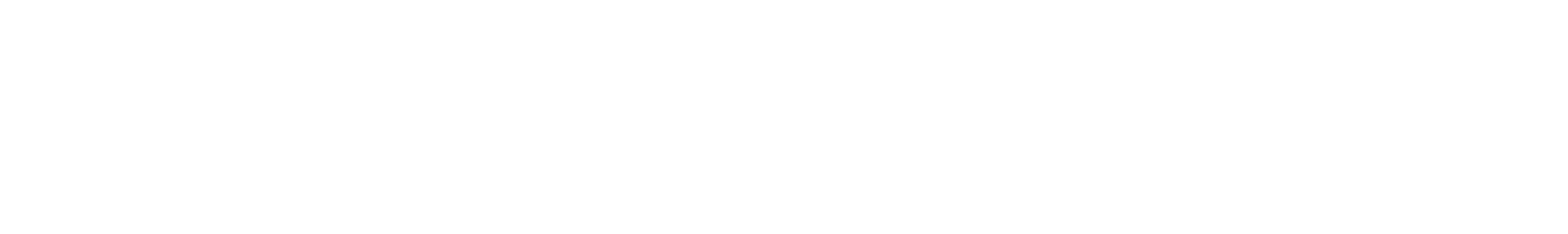 xecure xecure